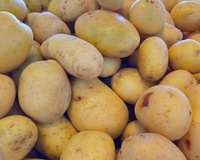 Bye-bye batata frita: estudo mostra qual é o melhor jeito de comer batata (e o que pode acontecer se comer do pior!)