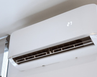 Seu ar-condicionado pode atrair escorpiões? Esses são os cuidados para proteger sua casa