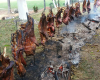 Costela fogo de chão