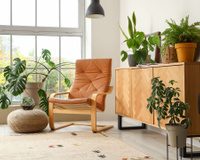 Qual a planta ideal para cada cômodo? 3 opções ideais para cozinha, sala e banheiro