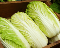 "Parasitas proliferam nas frestas": ao preparar o repolho, você deve cortar e descartar essa parte!