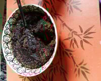 Bolo de caneca sem leite