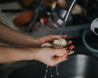 Os chefs de cozinha concordam: pare de lavar seus cogumelos na água corrente agora mesmo!