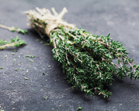 Tomilho: onde usar e benefícios para a saúde