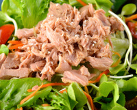 Atum: conheça os benefícios e dicas de receitas deliciosas