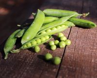 Ervilha-torta: como prepará-las em receitas saborosas