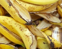 Polvilhei sal na casca de banana - não consigo deixar de me maravilhar com a minha engenhosidade: o truque perfeito para os preguiçosos de verdade