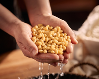 O grão barato que tem mais proteína que a carne e você deveria comer todo dia