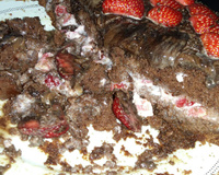 Bolo de chocolate com morango