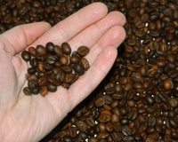 Grãos de baixa qualidade e mofados: operação apreende mais de 2 toneladas de café irregular no Rio de Janeiro