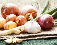 Alho e cebola são primos? Dupla mais popular na culinária possui semelhanças do você nem imagina