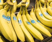 Eu vi essas bananas na loja e as devolvi ao mercado: a vendedora me explicou por que eu fiz a coisa certa