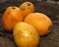 Essa fruta tropical rica em vitamina C combate inflamações e previne doenças do coração; veja como aproveitar em casa