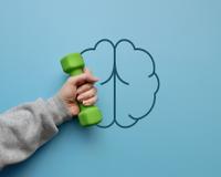 Há décadas acreditamos que a creatina é boa para o treino. Acontece que o maior benefício foi para o cérebro