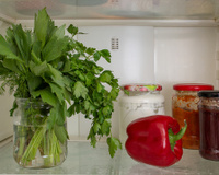 Essa é a melhor técnica para guardar salsinha e mantê-la fresca por muito tempo: nunca falta nas minhas receitas!