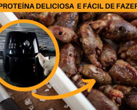 Coração de galinha na airfryer pra variar a proteína no cardápio da semana