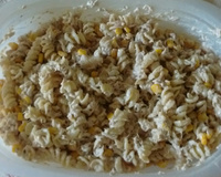 Macarronese especial