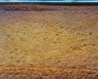 Mané pelado mineiro