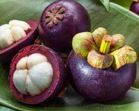 Pouca gente sabe, mas a fruta mais cara no Brasil em 2025 pode custar até R$200 o quilo e já foi eleita a mais saborosa do mundo