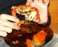 Caranguejada Pernambucana