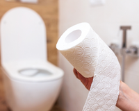 Pouca gente sabe: não use o papel higiênico para limpar o assento do vaso sanitário!