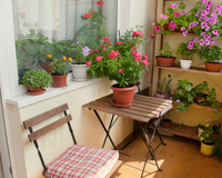 4 plantas que conseguem dar um toque especial na varanda de qualquer apartamento