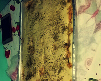 Pizza rápida de liquidificador