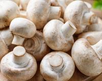 Nem cozidos, nem salteados: é assim que se cozinha cogumelos para manter sabor e textura