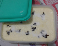 Sorvete caseiro tipo industrial