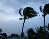 Especialistas em meteorologia alertam: não faça isso em caso de ventos fortes e veja como manter a casa segura