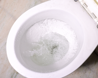 Por que você não deve dar descarga mais uma vez quando o vaso sanitário estiver enchendo? O TudoGostoso tem a resposta!