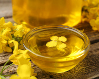 Adeus azeite de oliva: conheça o óleo vegetal saudável e barato que vai virar o seu queridinho da cozinha