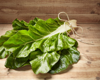 Acelga: os principais benefícios desse vegetal e como prepará-lo