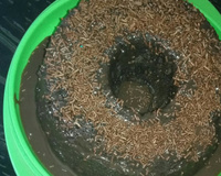 Bolo de chocolate de microondas