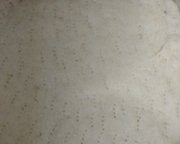 Massa de pizza sem ovo