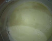 Leite condensado diet