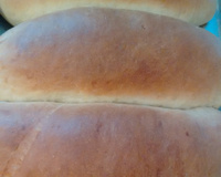 Pão caseiro (muito bom, muito macio)