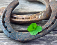 Não é só decoração: onde colocar uma ferradura em casa para atrair boa sorte, segundo o Feng Shui