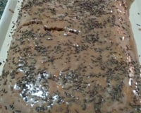 Bolo de chocolate fácil, delicioso e super fofinho