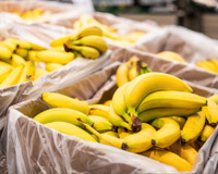 Por que os funcionários do supermercado deixam esses saquinhos plásticos nas caixas de banana – e por que você também não deve jogá-los fora