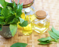 Pare de desperdiçar suas folhas de manjericão: aqui está uma ideia perfeita se você tiver alguma sobra