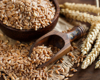 Farro: conheça os principais benefícios desse grão