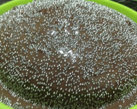 Bolo caseiro fofíssimo