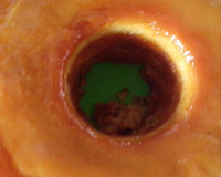 Bolo de milho (parece pudim)