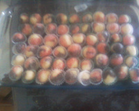 Bolinhas Tricoloridas