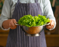 Dica para conservar a alface por até 3 semanas: precisa apenas de um copo com água