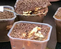 Pavê de brigadeiro no pote