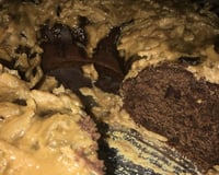 Bolo Prestigio Molhadinho