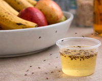 Vou te ensinar a fazer um para-raio de mosquito de banana usando vinagre de maçã