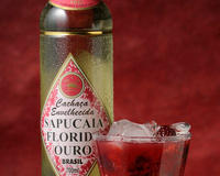 Sapucaia Paixão - Mestre Derivan